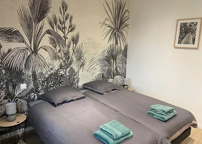 Les Prunelles Maison De Village De 4 A 8 Personnes *